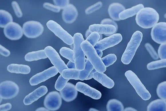 POSTBIOTIC - CHÌA KHÓA VÀNG CHO SỨC KHỎE ĐƯỜNG RUỘT