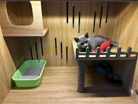 CATS HOTEL