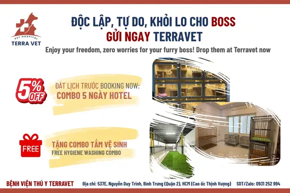 HOTEL THÚ CƯNG