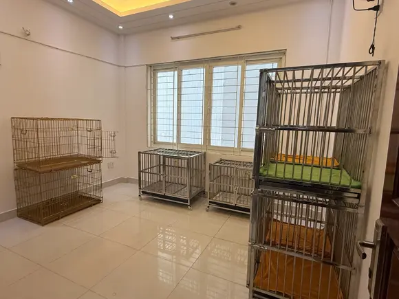 Dogs Hotel