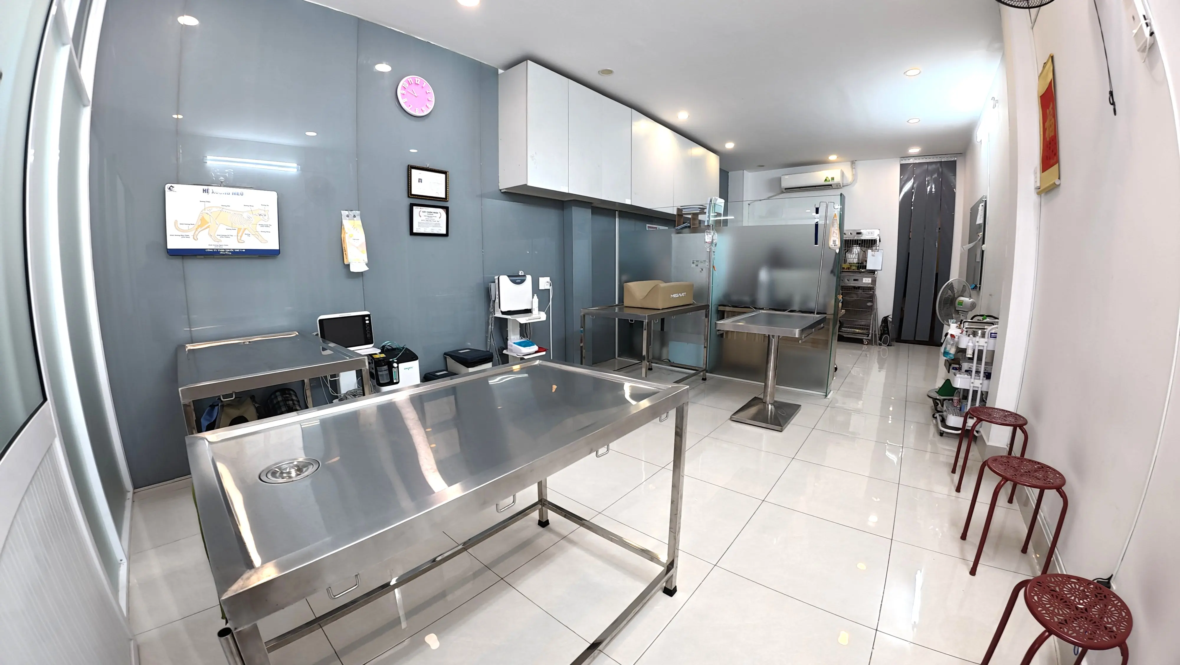 BỆNH VIỆN THÚ Y TERRAVET