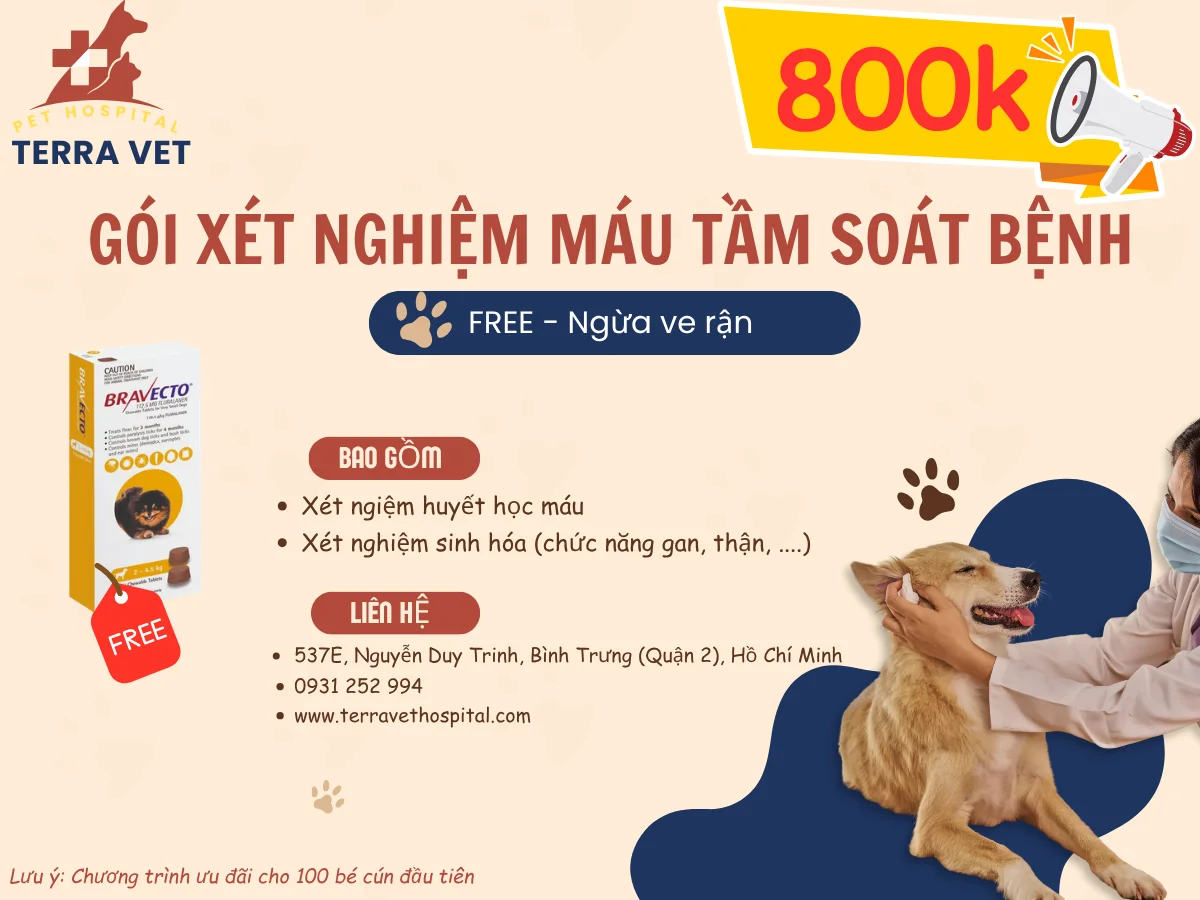 CHỮA BỆNH HÀNG TRIỆU ĐỒNG HAY PHÒNG BỆNH CHỈ TỪ 0 ĐỒNG?