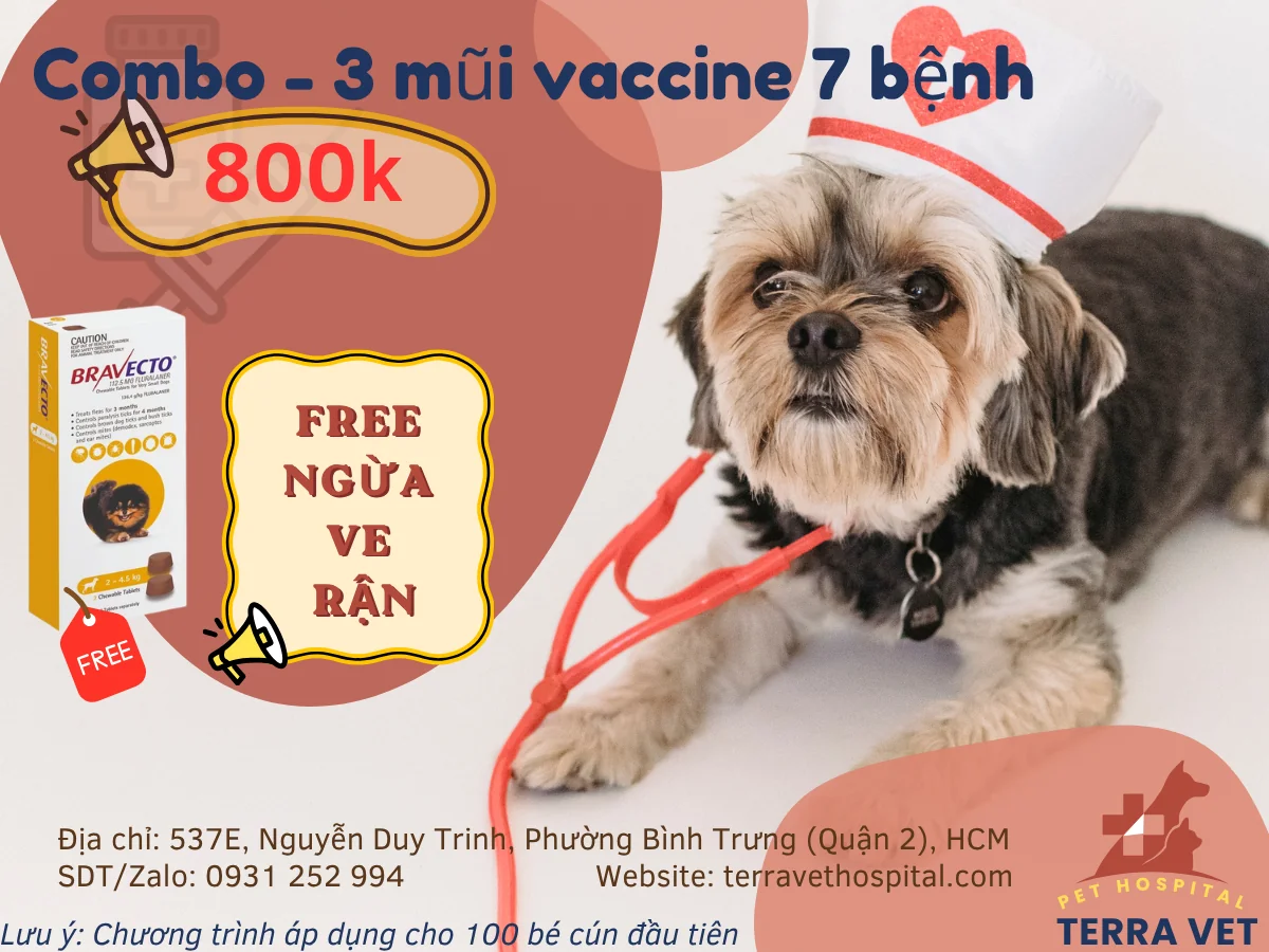 DỊCH BỆNH & VE RẬN BÙNG PHÁT: ĐỪNG ĐỂ QUÁ TRỄ!
