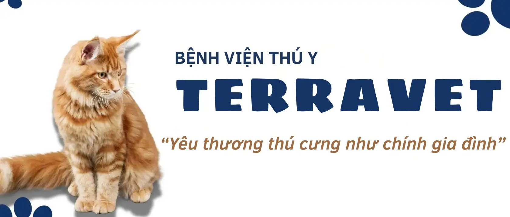 BỆNH VIỆN THÚ Y TERRAVET