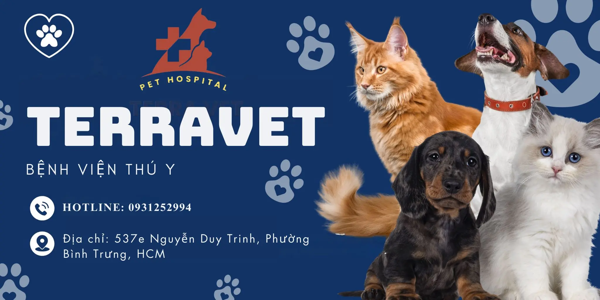 BỆNH VIỆN THÚ Y TERRAVET