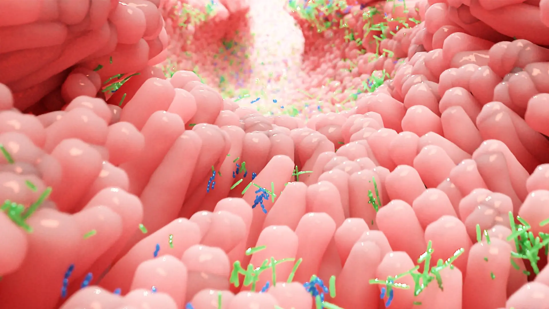 SỨC KHỎE ĐƯỜNG RUỘT - LÁ CHẮN QUAN TRỌNG