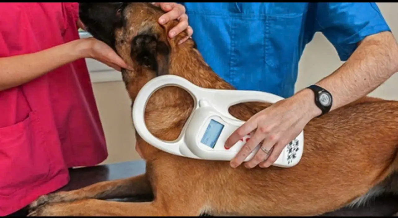 BỆNH VIỆN THÚ Y TERRAVET