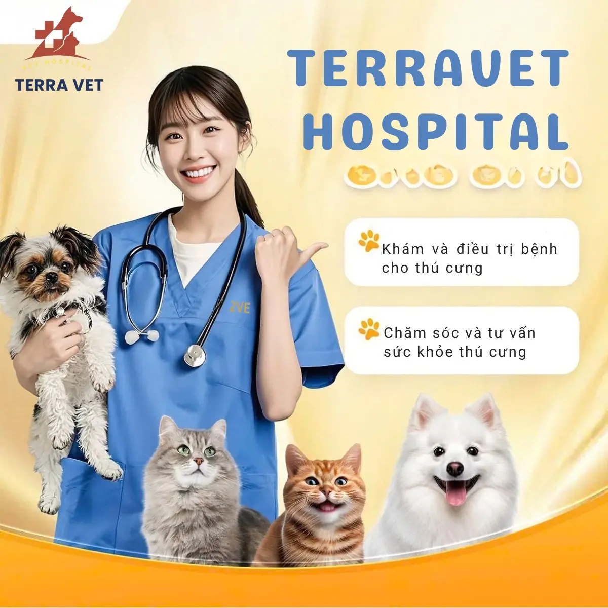 BỆNH VIỆN THÚ Y TERRAVET